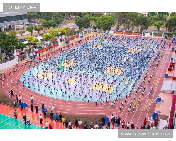 明发体育在体育娱乐行业中的创新模式与市场拓展策略