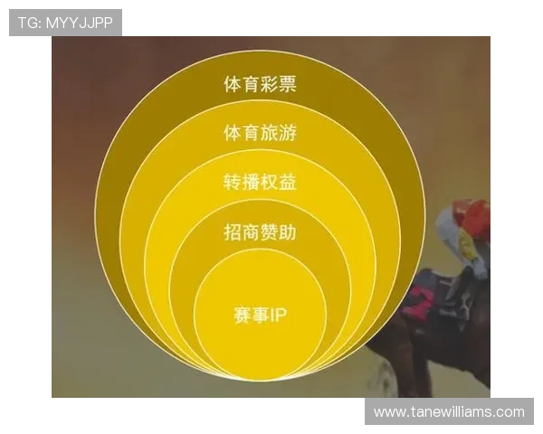 v体育官网入口在线登录入口官方最新版，轻松实现一站式体育赛事与游戏体验